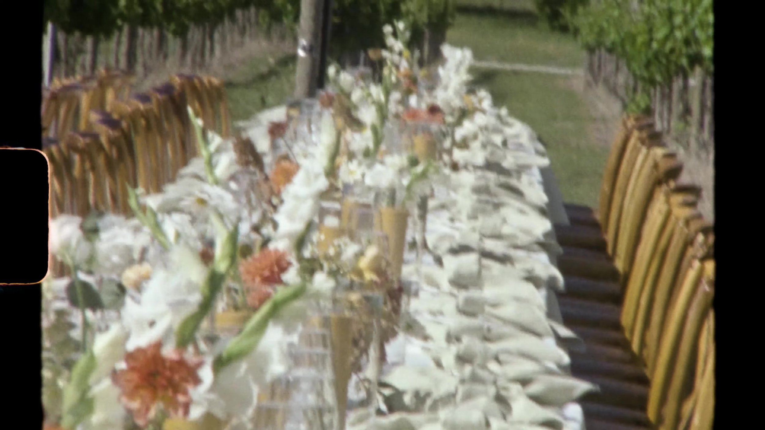 Back to the table. Close enough to see Stem Floral Design blooms in glass, place settings, vineyard green behind the chairs. This is the bes
